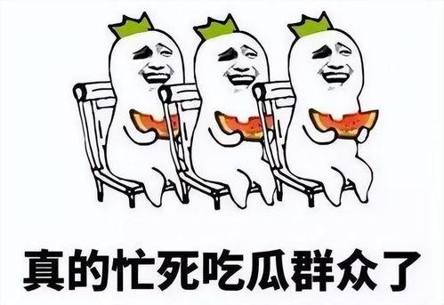 吃瓜的一天什么意思
